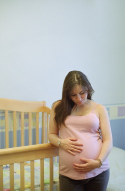 Egg Donor IVF Egg Donor IVF