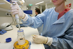 IVF Cycles IVF Cycles