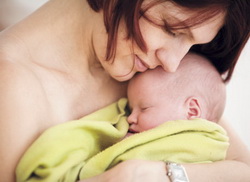 IVF Donor Egg IVF Donor Egg