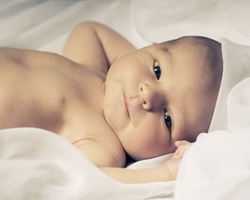 IVF Egg Donor IVF Egg Donor