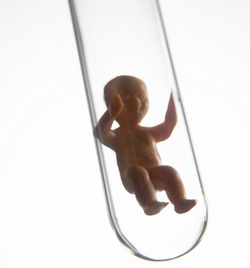 IVF FET IVF FET