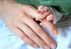 IVF Pregnancies IVF Pregnancies