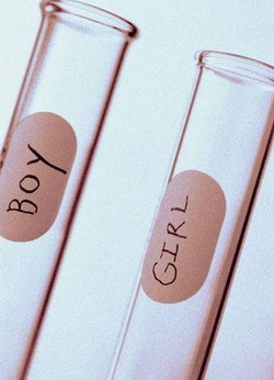 IVF Success Rate IVF Success Rate