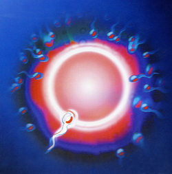 IVF Test IVF Test