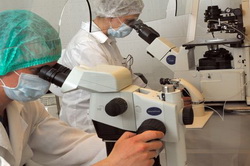 Natural IVF Natural IVF