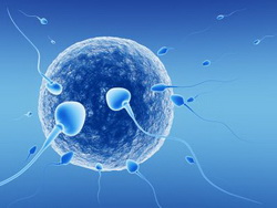 Pregnant IVF Pregnant IVF